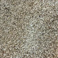 کنجد|خوردنی و آشامیدنی|تهران, شهرآرا|دیوار