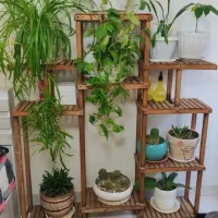 تولید استند گل رگال چوبی|گل و گیاه طبیعی|فردیس, شهرک شهید حسینی|دیوار