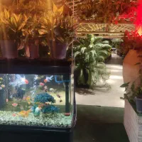 سرای سنتی دیاکو|استخدام خدمات فروشگاه و رستوران|کاشان, فین کوچک|دیوار