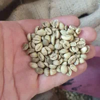 قهوه ویتنام|عمده‌فروشی|لاهیجان, امیرشهید|دیوار