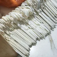 چوب لباسی و رگال شاخه