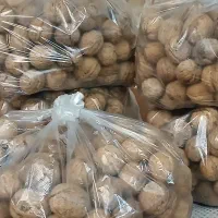 فروش گردو|خوردنی و آشامیدنی|اصفهان, شهرک گل نرگس|دیوار