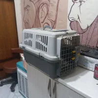 باکس حمل سگ