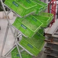 استند سیگار و میوه|فروشگاه و مغازه|پرند, فاز ۵|دیوار