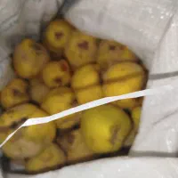 به ارگانیک|خوردنی و آشامیدنی|تربت جام, نظامی|دیوار