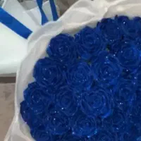 گل ربانی|گل مصنوعی|بیرجند, |دیوار