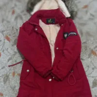 پالتو توخز|لباس|سقز, |دیوار