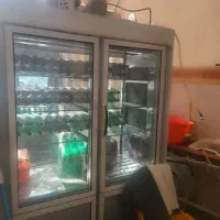 یخچال 4درب|یخچال و فریزر|یاسوج, |دیوار