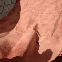 موکت