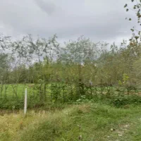 زمین با کاربری مسکونی زیر قیمت|فروش زمین و ملک کلنگی|رشت, قاسمیه|دیوار