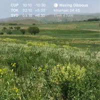 حسابدار