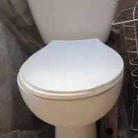 توالت فرنگی|مصالح و تجهیزات ساختمان|ساری, |دیوار