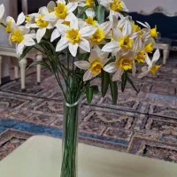 گلدون با گل نرگس