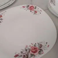 آرکوپال گلوریا