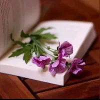 تدریس دروس دوره دوم دبستان