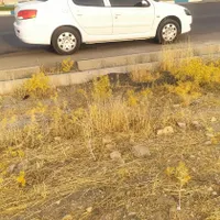 رانا پلاس، مدل ۱۴۰۰