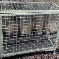 قفس آهنی پرنده وحیوانات اهلی(نووسفارشی)