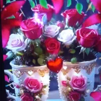 استخدام  تمیزکار وکارگرساده نظافتی