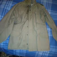 اورکت آمریکایی اصل (اسکویل)