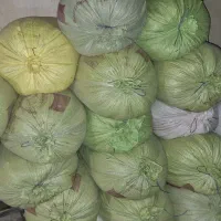 جو سفید|خدمات باغبانی و درختکاری|تربت جام, معدآباد|دیوار