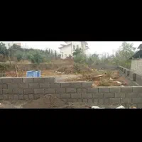 فروش زمین جنگلی باسند تک برگ|فروش زمین و ملک کلنگی|چابکسر, |دیوار