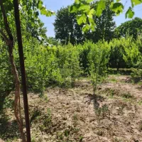 یک قطعه زمین ۱۰۰۰متری