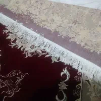 فرش ۱۲متری زرشکی تمیز وسالم|فرش|تهران, سعیدآباد|دیوار