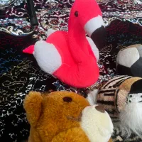 اسباب‌بازی|اسباب‌بازی بچه|پرند, فاز ۶|دیوار