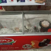 یخچال ایستاده و یخچال بستنی|فروشگاه و مغازه|گنبد کاووس, |دیوار