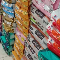 انواع غذای رویال