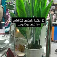 گل وگلدان