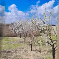 فروش باغ ویلا خانه ویلایی|فروش خانه و ویلا|مشهد, درزآب|دیوار