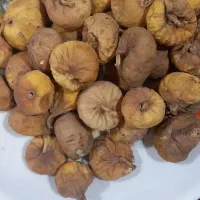انجیر خشک