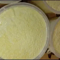 ماست محلی گوسفندی ،گاوی ،به قیمت مناسب