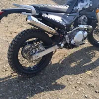 تریل پیشرو250درحدخشک و کم کارکرد