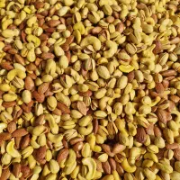 چهار مغز لوکس