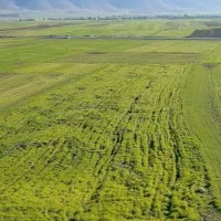 دو قطعه زمین در غرب شهرستان چغابل رومشکان