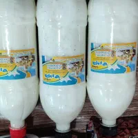 لبنیات محلی حیدری|خوردنی و آشامیدنی|قم, محمد آباد|دیوار