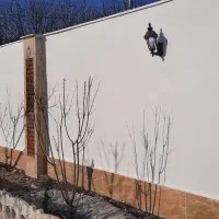 کنیتکس مولتی کالرنقاشی رنگ نماتمام نقاط تهران وکرج