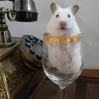 همستر،
