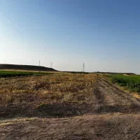 زمین برای کشاورزی احداث باغ،گلخانه،روستای کناوند|فروش دفتر صنعتی، کشاورزی، تجاری|زنجان, |دیوار