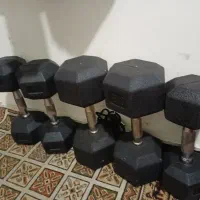 دمبل