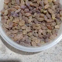 کشمش سایه خشک