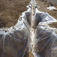 ارماتوربندی فنداسیون سوله سقف دال وافل استخر|خدمات پیشه و مهارت|رباط‌کریم, رباط‌کریم|دیوار