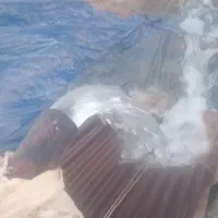 فروش-8هکتار-زمین-کشاورزی