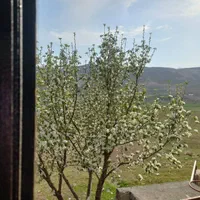 اجاره ویلا تک خواب کوهرنگ،چلگرد|اجارهٔ کوتاهمدت آپارتمان و سوئیت|کوهرنگ, |دیوار