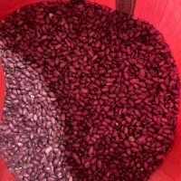 فروش عمده لوبیا چیتی و لوبیا قرمز|خوردنی و آشامیدنی|تهران, شهرک محلاتی|دیوار