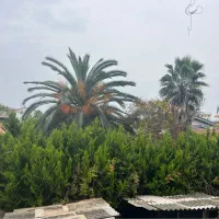 پیش فروش واحد ۱۱۷متری دونبش برندترین خیابان هچیرود