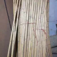 حصیر و گلدان|صنایع دستی و سایر لوازم تزئینی|کرمان, |دیوار