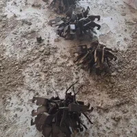 قالب ۴۰ .۲۰ ۱۵ نبشی فروشی در حد نو|مصالح و تجهیزات ساختمان|رشت, شهرک صنعتی|دیوار